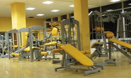 David GYM Arena