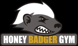 HoneyBadger