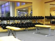 David GYM Arena