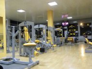 David GYM Arena