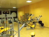 David GYM Arena