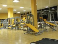 David GYM Arena