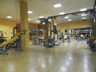 David GYM Arena