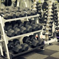 elitefitness
