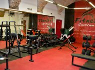 Fitness David