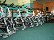 Fitness IRON GYM