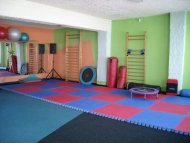 Fitness IRON GYM
