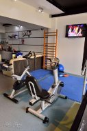Body fitness