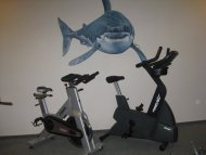 Shark fitness Hriňová