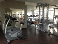 X-GYM